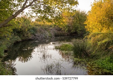 small river