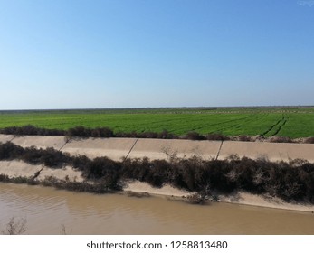 Small River Beach Field Stock Photo 1258813480 | Shutterstock