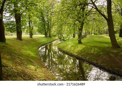 Small river (canal) in the forest park. Mighty green deciduous trees, wildflowers, plants. Golden sunlight. Idyllic summer landscape. Nature, ecology. ecotourism, hiking. cycling, nordic walking