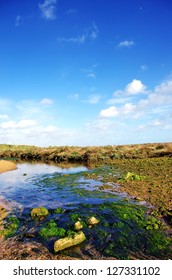 Small river and cloudy sky