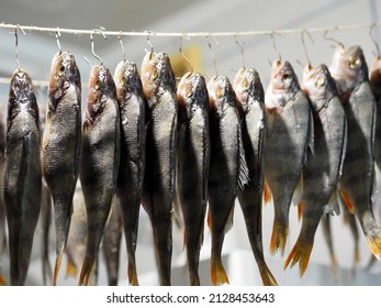 Small River Fish, Salted For Future Use, Are Dried On A Rope In A Rural House. Winter Season, Home Drying. Natural Dried River Fish.Dried Striped Bass.