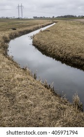 A small river float through the landscape  with a dog lying out of the way