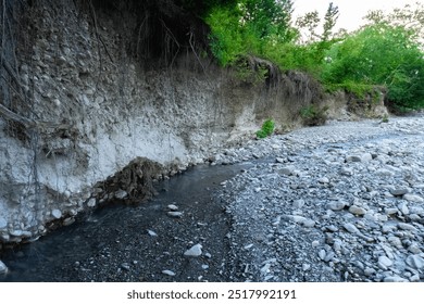 Small River Flowing in the Middle of Forest. Oguz, Azerbaijan. August, 2024.