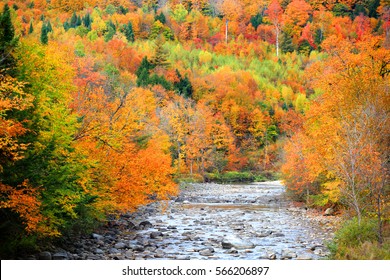 Small River Flowing Through Vermont Fall Foliage