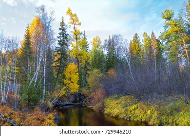A small river flows in the forest in the middle of the marshes. Alaska.