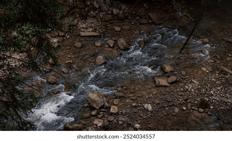 A small river flows over a rocky bed, creating a picturesque natural scene. The clear water rushes over smooth stones as the surrounding forest adds to the untouched beauty. - Powered by Shutterstock