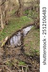A small river flows through an empty area