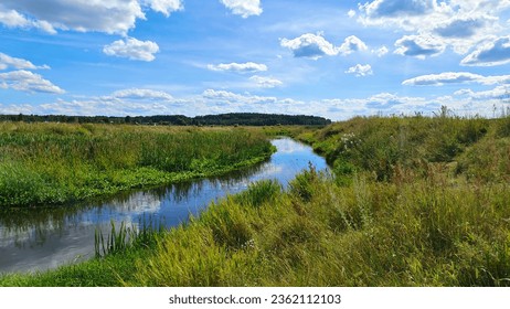 A small river flows through the meadow. Lilies grow in the water and reflect the blue sky with clouds. Bales of cut hay lie in the meadow. Beyond the meadow are village houses. Sunny summer weather