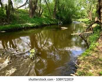 A small river in the forest.