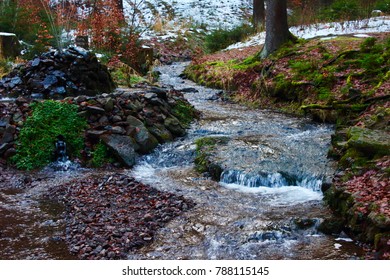 Small River in a Forest
