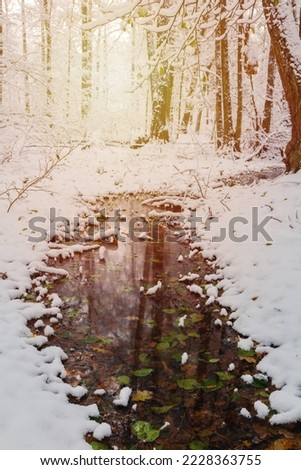 Small river full of autumn foliage leaf covered with first winter snow. Czech landscape