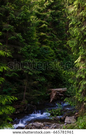 A small river in the mountains
