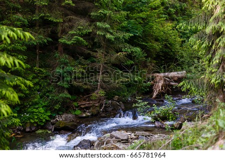 A small river in the mountains