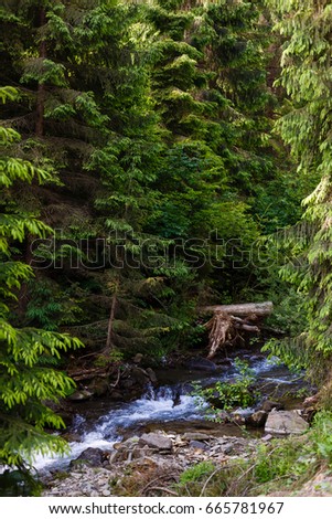 A small river in the mountains