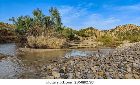 A small river passes through a mountainous area. On its banks are a large number of small, smooth stones, and in the middle is a tree.