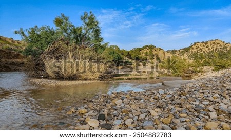 A small river passes through a mountainous area. On its banks are a large number of small, smooth stones, and in the middle is a tree.
