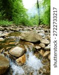 Small river rapid creates dynamic water flow over rocks, forming natural staircase of whitewater and movement.