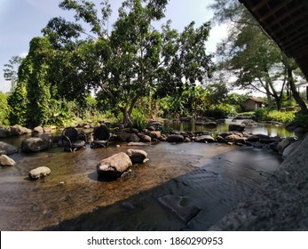 small river with silky water scene, big trees and shady place