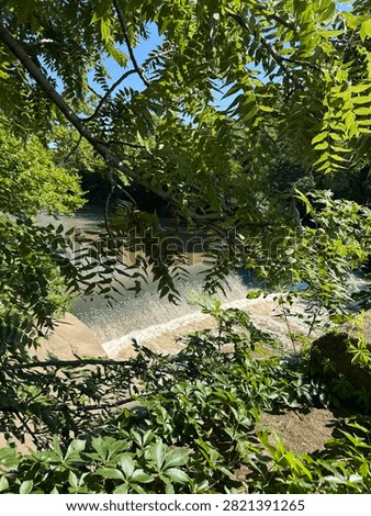 Small River Waterfall Framed By Green Leaves And Sunlit Tree Branches