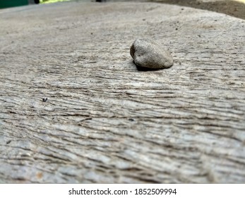 a small rock with selection focus 