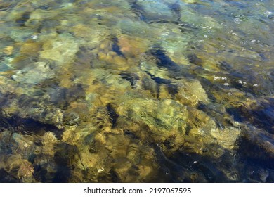 Small Rocks In Clear River Water