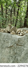 small rocks in the forest