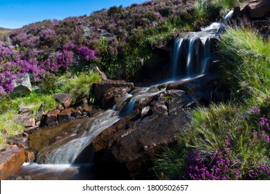 A Small Rocky Waterfall In The Scottish Highlands Surrounded By Green Grass And Deep Purple Heather.  The Water Is Smoothed Due To The Long Exposure.