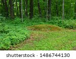 A small round conical shaped Native American Indian Burial Mound located at the Lizard Mound County Park in West Bend Wisconsin.  The mound is in a partially wooded area of the grounds. 