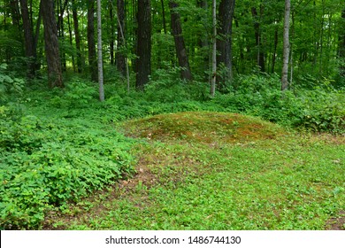 A small round conical shaped Native American Indian Burial Mound located at the Lizard Mound County Park in West Bend Wisconsin.  The mound is in a partially wooded area of the grounds. 