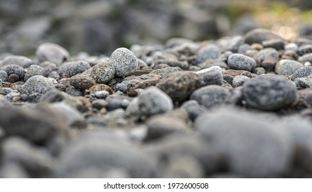 Small Round Rocks On A River Beach Low Angle Shallow Depth Of Field Photo