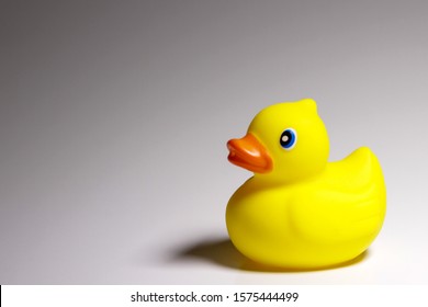Small Rubber Duck Sitting Alone 