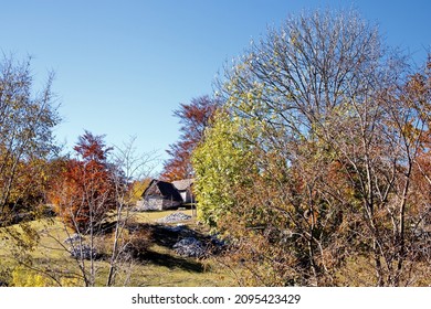 A Small Rural House In An Autumn Forest