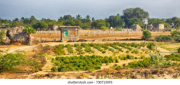 Small rural house and subsistence land - India - Shutterstock ID 730713595