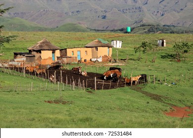 Small Rural Huts With Cattle, South Africa