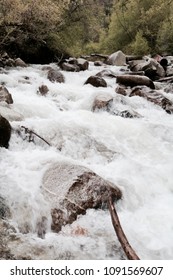 Small Rushing Stream 