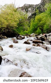 Small Rushing Stream 