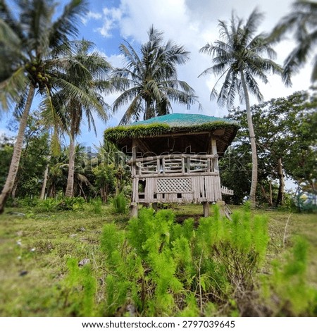 A small, rustic bamboo hut with a thatched roof sits amidst lush greenery and palm trees. The hut appears weathered, suggesting an island or tropical setting.