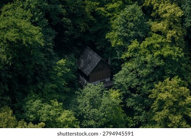 Small rustic cabin surrounded by thick tree canopy, representing privacy, woodland retreat, nature escape and remote living.