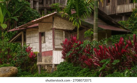 A small rustic hut surrounded by vibrant red tropical plants and dense greenery, reflecting simple rural living in a lush and colorful natural setting.