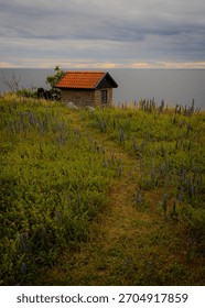 A small, rustic, old stone cabin with a red tile roof stands on a grassy hill covered with wildflowers and weeds, overlooking a vast body of water under an overcast sky. 