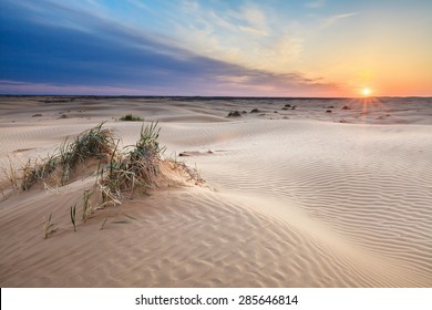 Small sand barkhans with grass at the sunrise. Desert Barkhan Big Brother, Astrakhan Region, Russia.