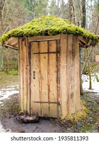 A small sauna in the woods with a moss roof