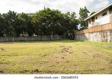 Small Scale Urban Farming On A Empty Plot Of Land In The Midst Of  Quezon City.  