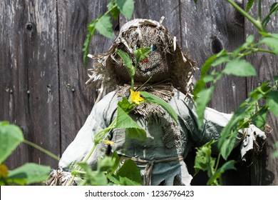 Small Scarecrow By A Fence