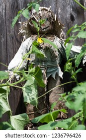 Small Scarecrow By A Fence