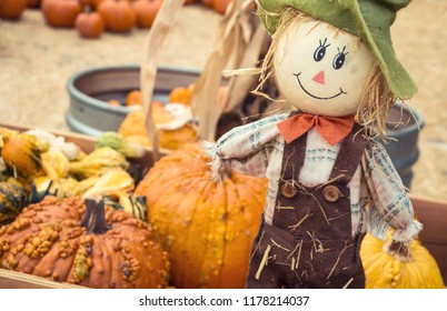 Small Scarecrow With A Few Pumpkins