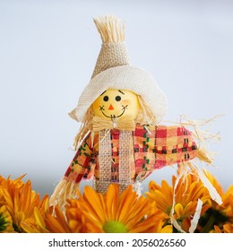 Small Scarecrow In A Field Of Orange Daisies