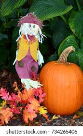 Small Scarecrow With Pumpkin On Ground