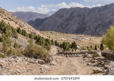 Small settlement in Rupal valley, Gilgit-Baltistan region in Pakistan