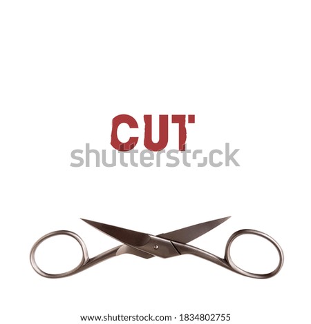 Small sharp nail scissors isolated on white background